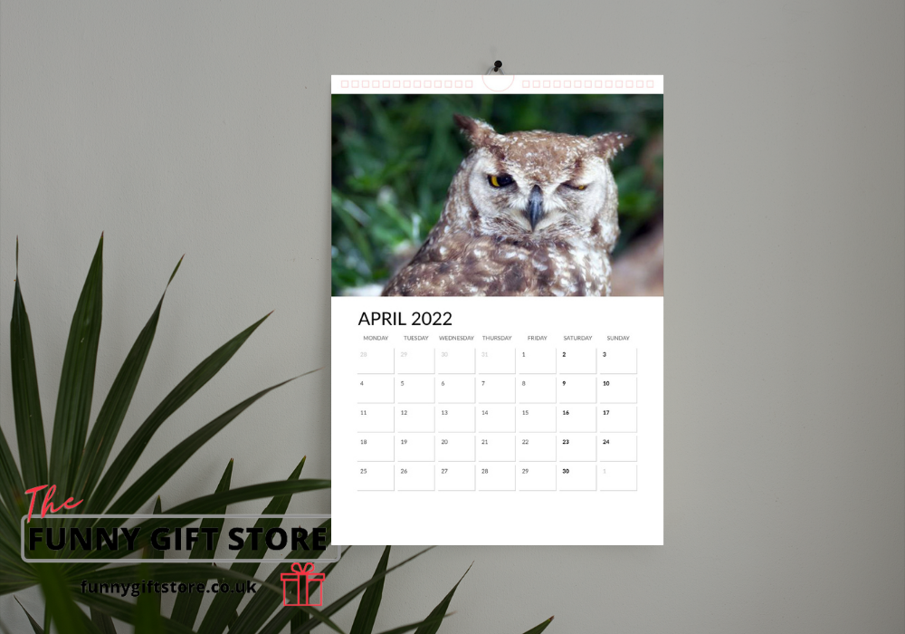 Hungover Owls Calendar 2022 - Image 5